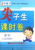 09春2年级数学(下)(江苏实验版)尖子生课时卷