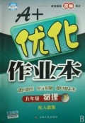 九年级 物理下（配北师大版）/A+优化作业本（附答案及点拨）