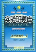 五年级数学(下国标人教版供尖子生和提优班使用)/实验班题库
