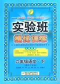 六年级语文(下国标江苏版)/实验班提优训练
