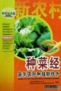 种菜经(蔬菜高效种植新技术)/新农村书屋