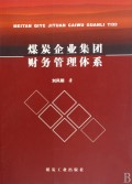 煤炭企业集团财务管理体系