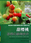 甜樱桃标准化栽培技术/湖北省对口支援汉源县智力技术工程技术丛书