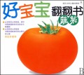 蔬菜/好宝宝翻翻书