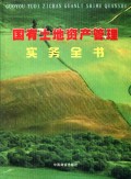 国有土地资产管理实务全书