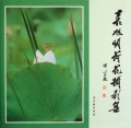袁旭明荷花摄影集