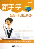 VIP——新手学会计实账演练