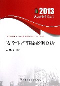 安全生产事故案例分析(全国注册安全工程师执业资格考试历年真题解析)/2013执业资格考试丛书