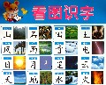 看图识字/阳光宝贝炫彩挂图