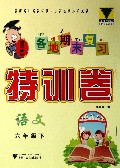 语文(6下)/各地期末复习特训卷
