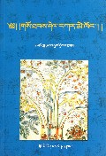 藏医治疗学研究(藏文版)
