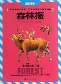 森林报-影响孩子一生的.世界经典文学名著金库-注音彩图版