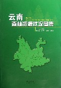 云南森林资源状况图集