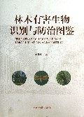 林木有害生物识别与防治图鉴(精)