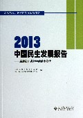 2013中国民生发展报告--新城市化进程中的民生隐忧