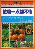 植物一点都不傻/破译天下谜团
