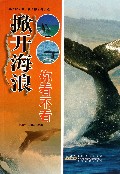 掀开海浪你看不看/奥秘就在你身边