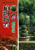 植物越看越奇怪/奥秘就在你身边