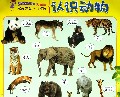认识动物/好宝宝双面启蒙学习挂图