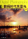 数码时代无菜鸟(数码摄影曝光从入门到精通全新版)