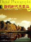 数码时代无菜鸟(数码后期修片从入门到精通全新版)