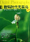 数码时代无菜鸟(数码摄影构图从入门到精通全新版)