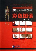 实用人体解剖学彩色图谱
