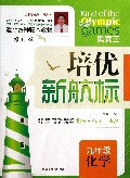 九年级化学(修订版)/培优新航标