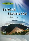 堆石坝建设和水电开发的技术进展/中国大坝协会丛书