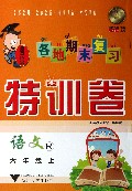 语文(6上R)/各地期末复习特训卷