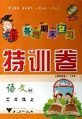 语文(5上R)/各地期末复习特训卷