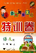 语文(2上R)/各地期末复习特训卷