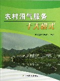 农村沼气服务十大模式