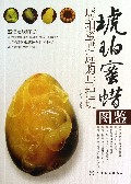琥珀蜜蜡图鉴(琥珀蜜蜡选购与把玩)