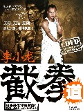 李小龙截拳道(附光盘)