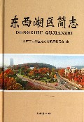 东西湖区简志(精)