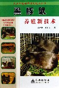 黑豚鼠养殖新技术/农业科技创新实用技术丛书