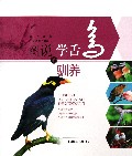 图说学舌鸟的驯养/天下宠物