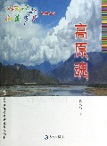 高原魂/西藏岁月系列丛书