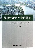 战略性新兴产业的发展--宁波和国内相关城市比较研究