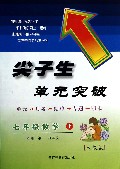 七年级数学(下人教版)/尖子生单元突破