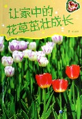 让家中的花草茁壮成长