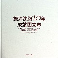 振兴沈阳10年成就图文志(精)