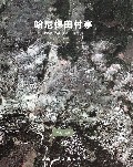 哈尼梯田村寨