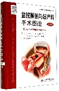 盆腔解剖与妇产科手术图谱(上卷妇产科应用解剖与基本术式第3版)(精)