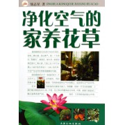 易种易活的家养花草