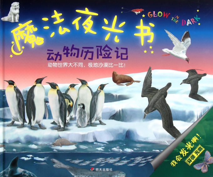 魔法夜光书(动物历险记)(精)-博库网