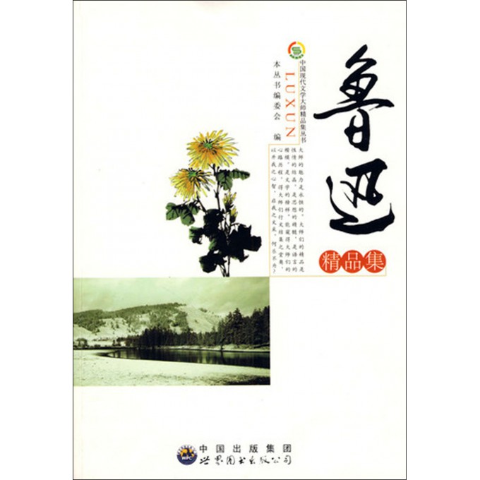 中国现代文学大师精品集：鲁迅精品集