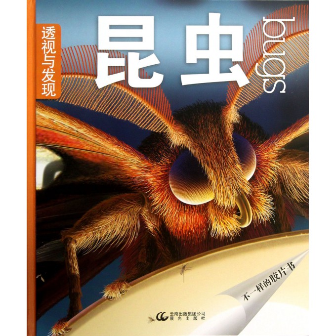 昆虫-透视与发现