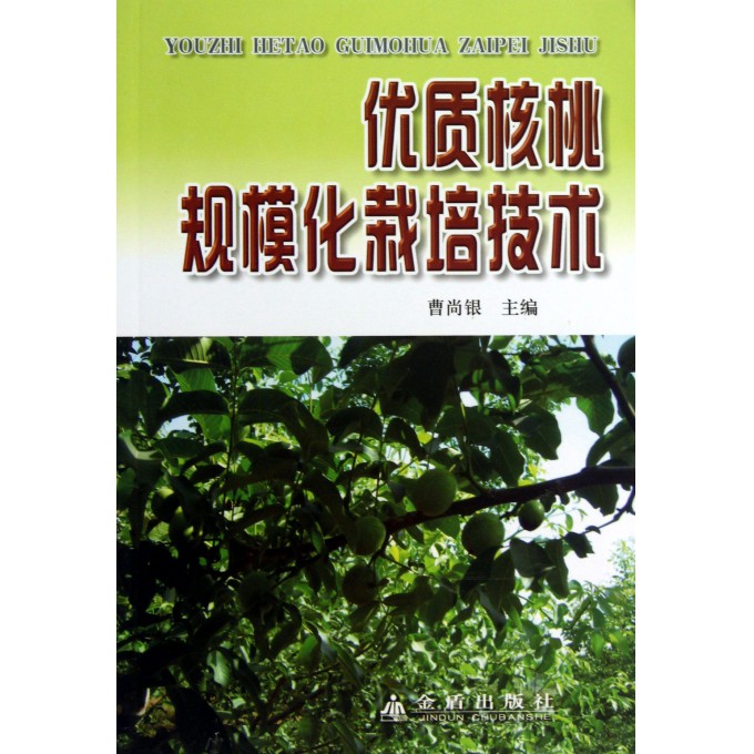 优质核桃规模化栽培技术